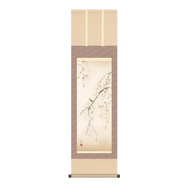 掛軸 [花鳥画]春掛け 【桜花】 [尺三] [西尾香悦] [KZ2MA2-079](代引き不可)