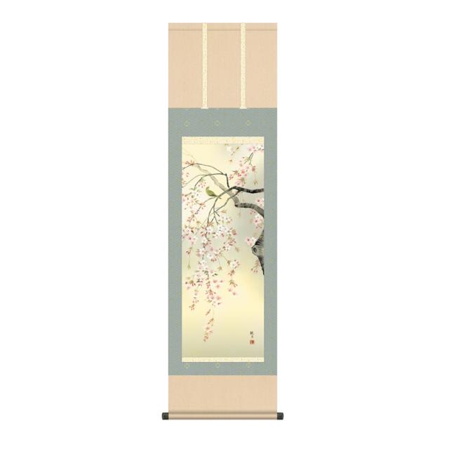 掛軸 [花鳥画]春掛け 【桜花】 [尺三] [森山観月] [KZ2MA2-088](代引き不可)