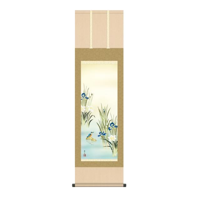 掛軸 [花鳥画]夏掛け 【菖蒲にかわせみ】 [尺三] [高見蘭石] [KZ2MA3-151](代引き不可)