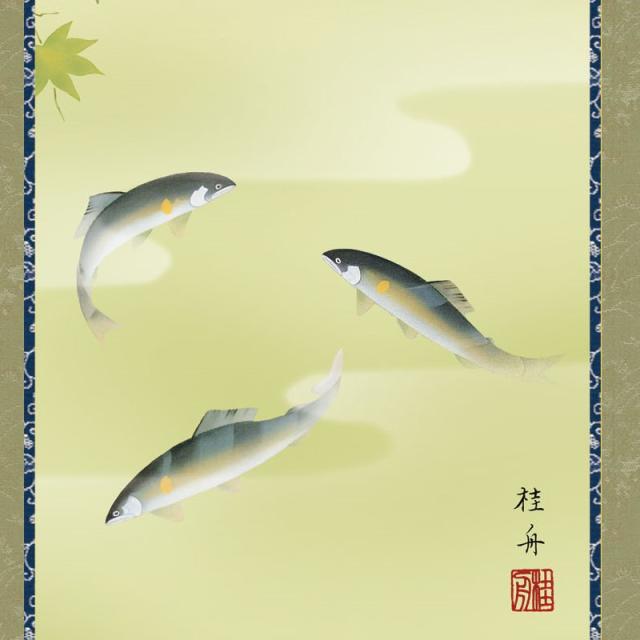 掛け軸 モダン 尺五 花鳥掛軸 夏掛 楓に鮎 長江 桂舟 三美会 約54.5cm×190cm 洛彩緞子本表装 筋廻仕様 10年保証 収納箱 防虫香 風鎮 付き 母の日 父の日 掛軸 日本画 花鳥画 長江桂舟 楓に鮎 (かえでにあゆ) 尺五 (KZ3A3-158