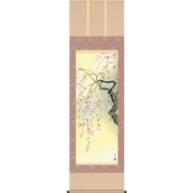[掛軸][桜花爛漫]森山観月[尺五][花鳥画の掛軸][H29A6-09A]【代引き不可】