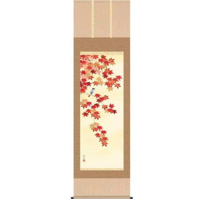 [掛軸][紅葉に小鳥]長江桂舟[尺五][花鳥画の掛軸][H29A6-22C]四季花鳥[秋]【代引き不可】