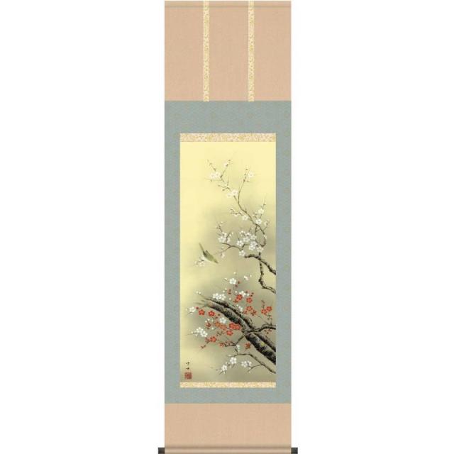 [掛軸][紅白梅に鶯]田村竹世[尺三][花鳥画の掛軸][H29MA6-10D]【代引き不可】