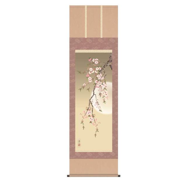 掛軸 [花鳥画] 【夜桜】 伊藤渓山 尺三 [H30MA6-025A] 四季花鳥[春]
