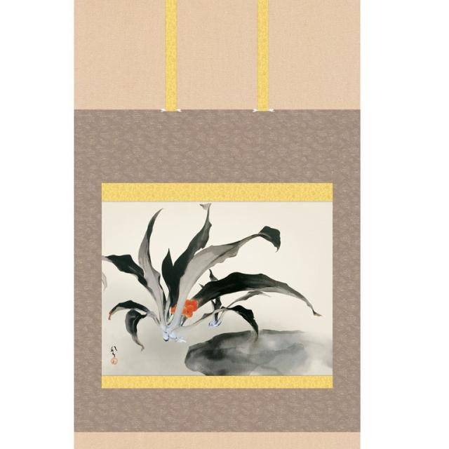 掛軸 川端龍子 万年青 (おもと) 尺五 (KZ3G9-074) (代引き不可)_1