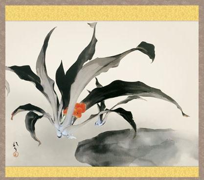 掛軸 川端龍子 万年青 (おもと) 尺五 (KZ3G9-074) (代引き不可)_2