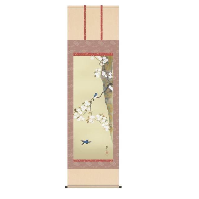 掛軸 酒井抱一 桜に小禽図 (さくらにしょうきんず) 尺五 (KZ3G9-092) (代引き不可)