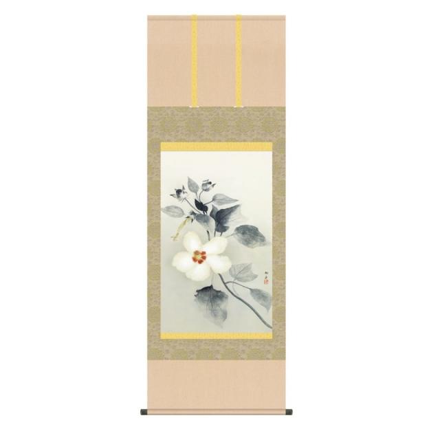 掛軸 速水御舟 白芙蓉 (しろふよう) 尺五 (KZ3G9-109) (代引き不可)