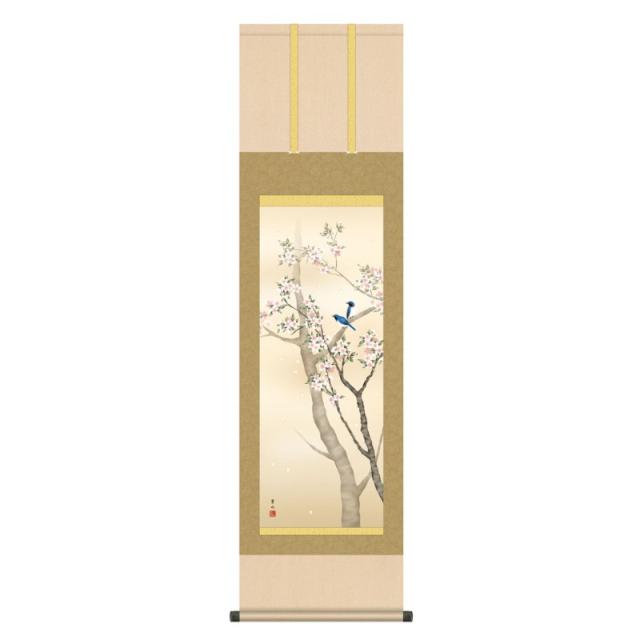掛軸 日本画 花鳥画 緒方葉水  桜花に小鳥 (おうかにことり) 尺三 (KZ3MA2-091) (代引き不可)