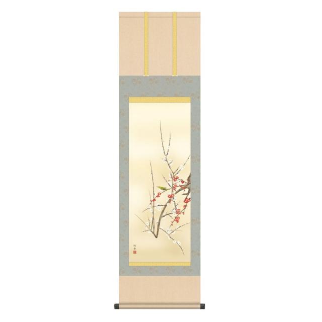 掛軸 日本画 花鳥画 長江桂舟 紅白梅に鶯 (こうはくばいにうぐいす) 尺三 (KZ3MA2-098) (代引き不可)