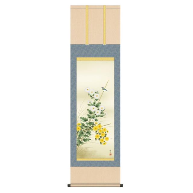 掛軸 日本画 花鳥画 森山観月 菊花 (きくか) 尺三 (KZ3MA4-154) (代引き不可)