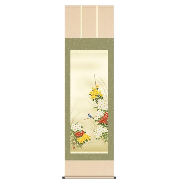 掛軸 日本画 花鳥画 近藤玄洋 菊花 (きくか) 尺五 (KZ3A4-153) (代引き不可)