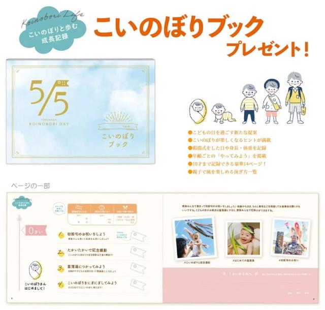 徳永 鯉のぼり 庭園用 ポール別売り 大型鯉 4m鯉3匹 ちりめん京錦 桜風吹流し 撥水加工 日本の伝統文化 こいのぼり