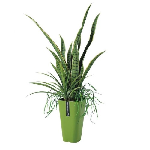 人工観葉植物 サンスベリア アレンジ ポット付き 高さ90cm （P98-81649) （代引き不可） インテリアグリーン フェイクグリーン