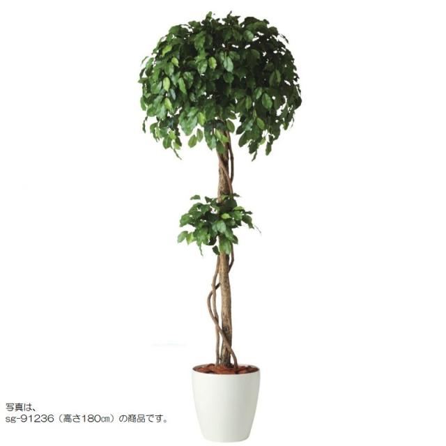 人工観葉植物 フィッカスベンシャミナダブル 200 natural ポット付き 高さ200cm （P58-91235) （代引き不可） インテリアグリーン フェイクグリーン