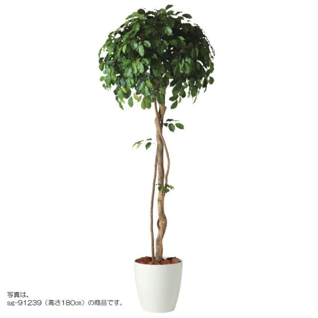 人工観葉植物 アスパラガス ガーランド 長さ180cm （P24-99487) （代引き不可） フェイクグリーン アスパラガス ガーランド 幅40 × 奥行