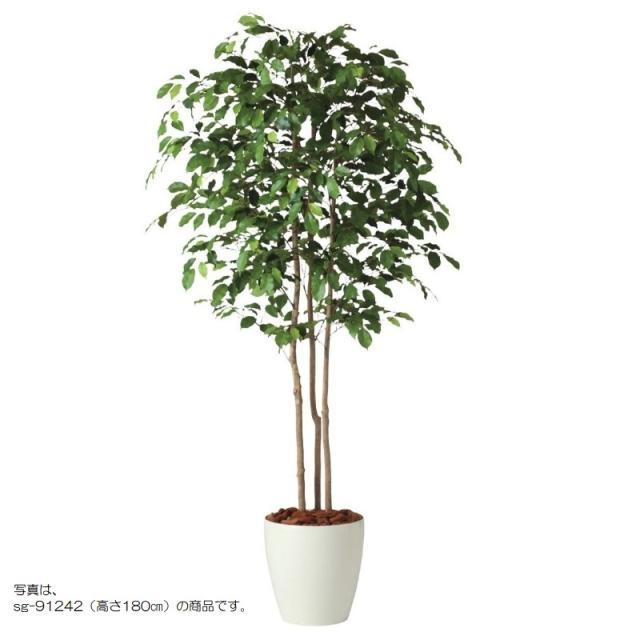 人工観葉植物 フィッカスベンシャミナトリプル 200 natural ポット付き 高さ200cm （P58-91241) （代引き不可） インテリアグリーン フェイクグリーン