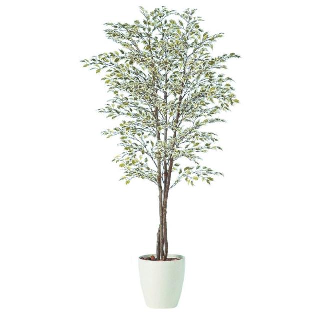 人工観葉植物 ベンジャミナスターライトトリプル 180 natural ポット付き 高さ180cm （P59-91248) （代引き不可） インテリアグリーン フェイクグリーン