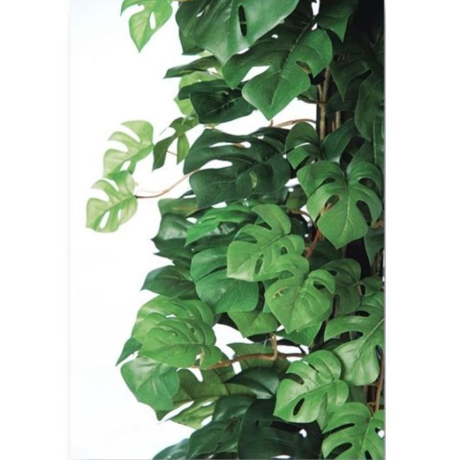 人工観葉植物 ヒメモンステラヘゴ -DX 150 Pole style ポット付き 高さ150cm （P71-91308) （代引き不可） インテリアグリーン フェイクグリーン_1