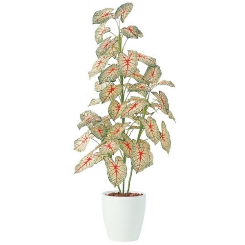 人工観葉植物 カラジウムトロピカーナ 160 ポット付き 高さ160cm （P94-91449) （代引き不可） インテリアグリーン フェイクグリーンの通販は