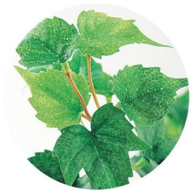 人工観葉植物 シサス R ポット付き 高さ35cm （P107-91492) （代引き不可） インテリアグリーン フェイクグリーン_1
