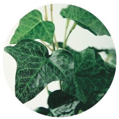 人工観葉植物 ハリソンアイビー ポット付き 高さ30cm （P105-91496) （代引き不可） インテリアグリーン フェイクグリーン_1