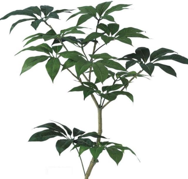 人工観葉植物 ツピダンサス FST 150 ポット付き 高さ150cm （P45-91603) （代引き不可） インテリアグリーン フェイクグリーン_1