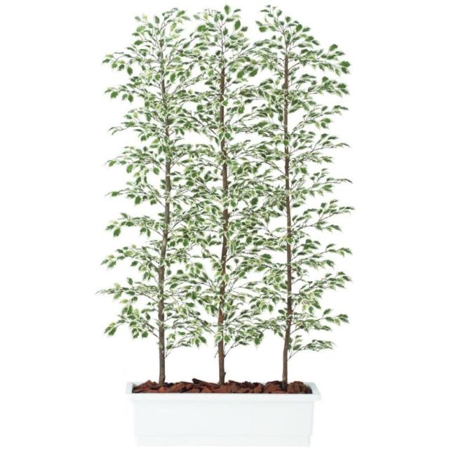 人工観葉植物 ベンジャミナスターライト パーティション 180 natural ポット付き 高さ180cm （P61-91613) （代引き不可） インテリアグリーン フェイクグリーン 136,000円