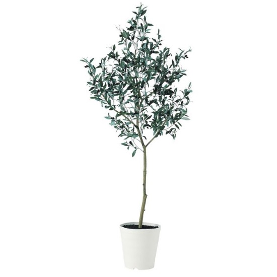人工観葉植物 ブラックオリーブ FST 180 ポット付き 高さ180cm （P79-91626) （代引き不可） インテリアグリーン フェイクグリーン