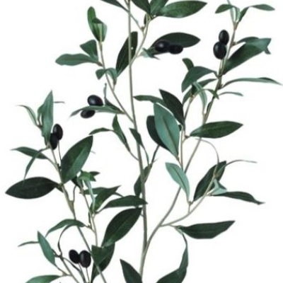 人工観葉植物 ブラックオリーブ FST 180 ポット付き 高さ180cm （P79-91626) （代引き不可） インテリアグリーン フェイクグリーン_1