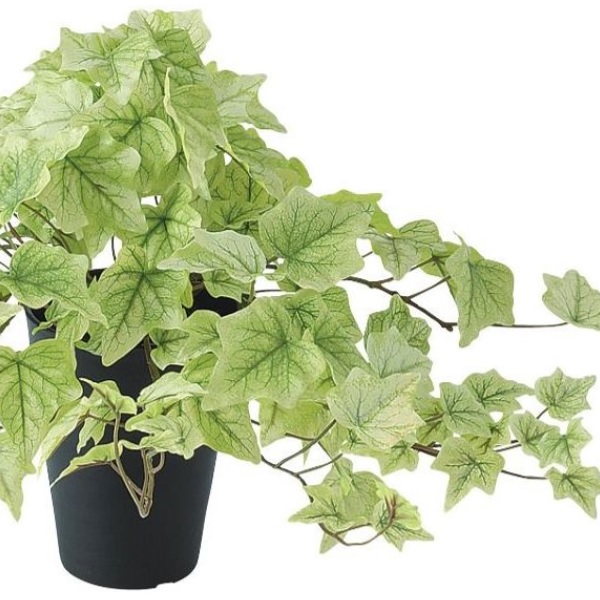 人工観葉植物 ライムアイビー ポット付き 高さ35cm （P105-91638) （代引き不可） インテリアグリーン フェイクグリーン_1