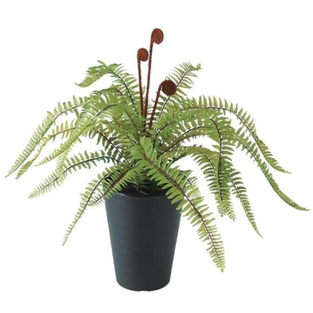 人工観葉植物 ソードファン ポット付き 高さ35cm （P100-91640) （代引き不可） インテリアグリーン フェイクグリーン