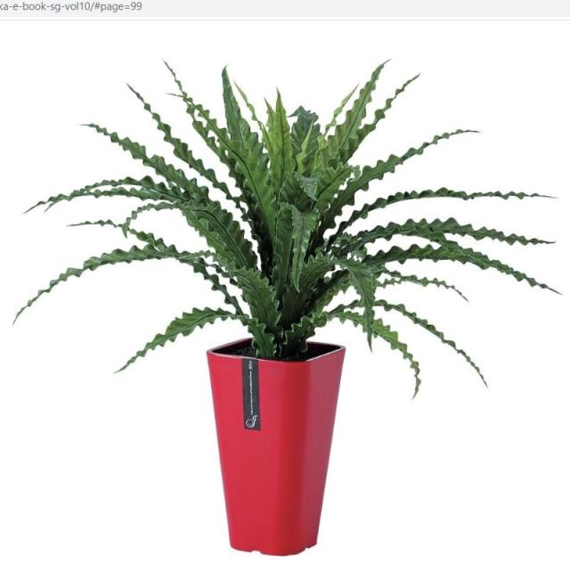 人工観葉植物 アスプレニウム L ポット付き 高さ65cm （P98-91646) （代引き不可） インテリアグリーン フェイクグリーン