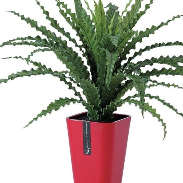 人工観葉植物 アスプレニウム L ポット付き 高さ65cm （P98-91646) （代引き不可） インテリアグリーン フェイクグリーン_1