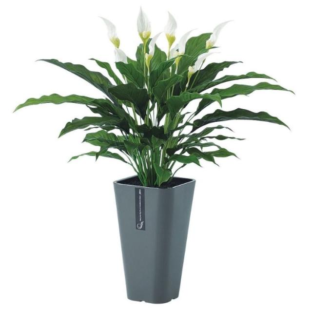 人工観葉植物 スパティフィラム PE MIX ポット付き 高さ65cm （P98-91647) （代引き不可） インテリアグリーン フェイクグリーン