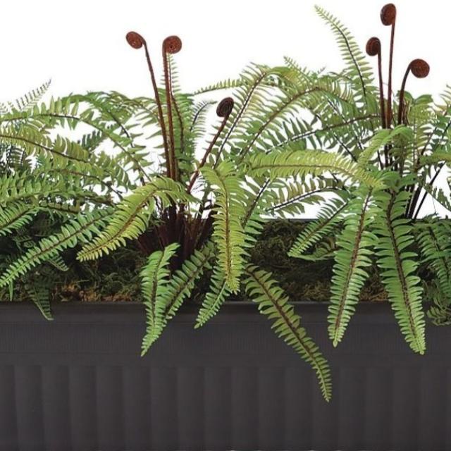 人工観葉植物 プラントボックス ポット付き 高さ40cm （P100-91656) （代引き不可） インテリアグリーン フェイクグリーン_1