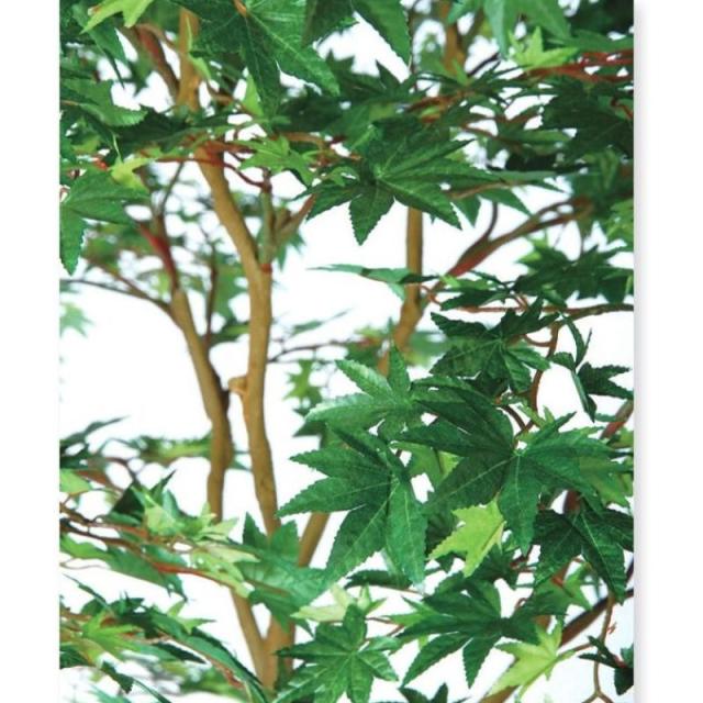 人工観葉植物 ヤマモミジ 100 GREEN FST ポット付き 高さ100cm （P123-91761) （代引き不可） インテリアグリーン フェイクグリーン