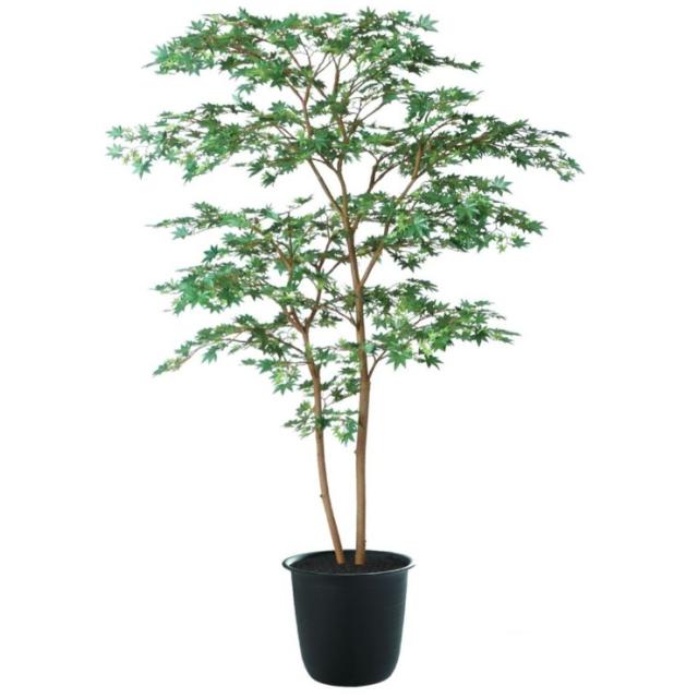 人工観葉植物 ヤマモミジ株立 150 GREEN FST ポット付き 高さ150cm （P122-91764) （代引き不可） インテリアグリーン フェイクグリーンの通販は