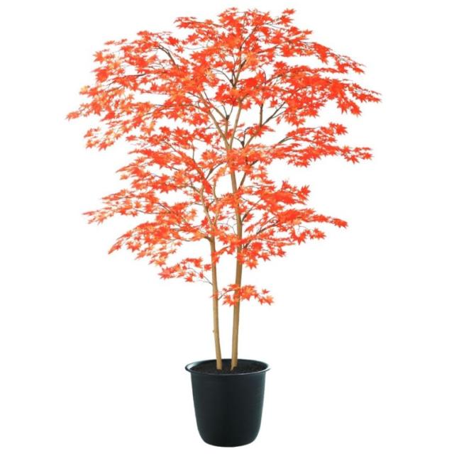 人工観葉植物 ヤマモミジ株立 150 RED FST ポット付き 高さ150cm （P124-91773) （代引き不可） インテリアグリーン フェイクグリーン 56,348円