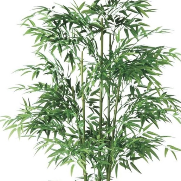 人工観葉植物 青竹 5本立 180 ポット付き 高さ180cm （P127-91784) （代引き不可） インテリアグリーン フェイクグリーン_1