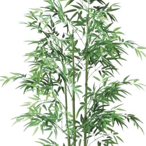 人工観葉植物 青竹 3本立 180 ポット付き 高さ180cm （P127-91786) （代引き不可） インテリアグリーン フェイクグリーン_1