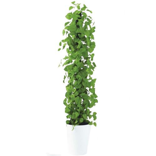 人工観葉植物 MIX ヘゴ ライム/ライム 150 Pole style ポット付き 高さ150cm （P68-91801) （代引き不可） インテリアグリーン フェイクグリーン