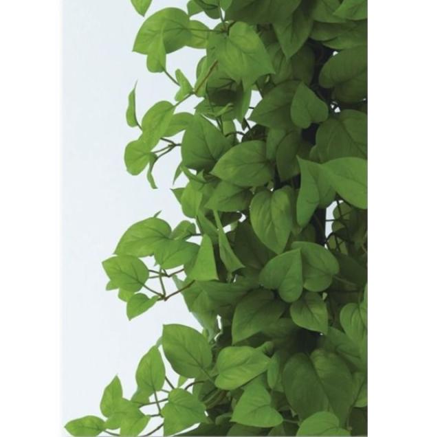 人工観葉植物 MIX ヘゴ ライム/ライム 90 Pole style ポット付き 高さ90cm （P68-91802) （代引き不可） インテリアグリーン フェイクグリーン_1