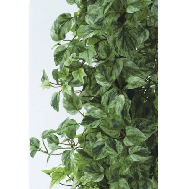人工観葉植物 MIX ヘゴ マーブル/ライム 180 Pole style ポット付き 高さ180cm （P68-91803) （代引き不可） インテリアグリーン フェイクグリーン_1