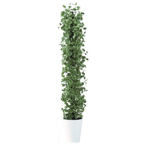人工観葉植物 マーブルポトスヘゴ 180 Pole style ポット付き 高さ180cm （P70-91806) （代引き不可） インテリアグリーン フェイクグリーン
