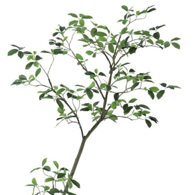 人工観葉植物 ガジュマル FST 180 ポット付き 高さ180cm （P51-91810) （代引き不可） インテリアグリーン フェイクグリーン_1