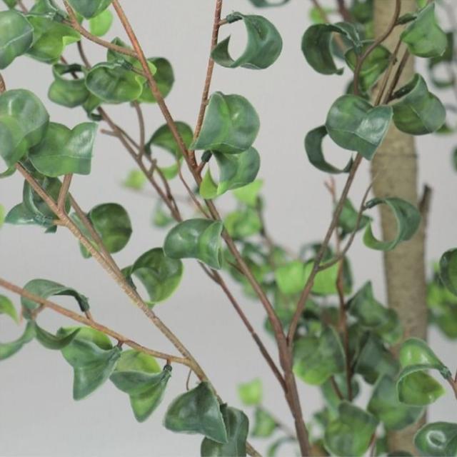 人工観葉植物 ベンジャミンバロック FST 120 ポット付き 高さ 人工観葉植物 ベンジャミンバロック FST 120 ポット付き 高さ