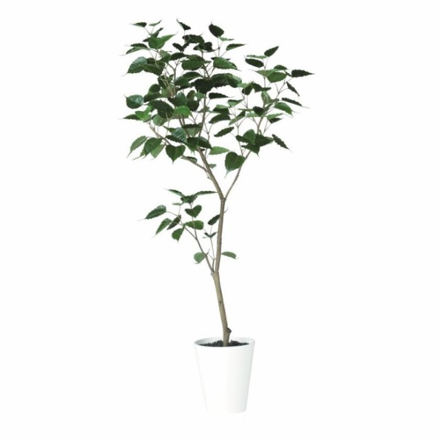 人工観葉植物 インドボダイジュ FST 180 ポット付き 高さ180cm （P46-91855) （代引き不可） インテリアグリーン フェイクグリーンの通販は