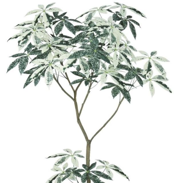 人工観葉植物 パキラ ミルキーウェイ FST 180 ポット付き 高さ180cm （P53-91860) （代引き不可） インテリアグリーン フェイクグリーン_1