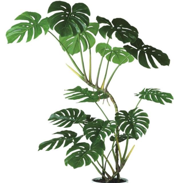 人工観葉植物 ワイルドモンステラ 160 ポット付き 高さ160cm （P92-91867) （代引き不可） インテリアグリーン フェイクグリーン_1